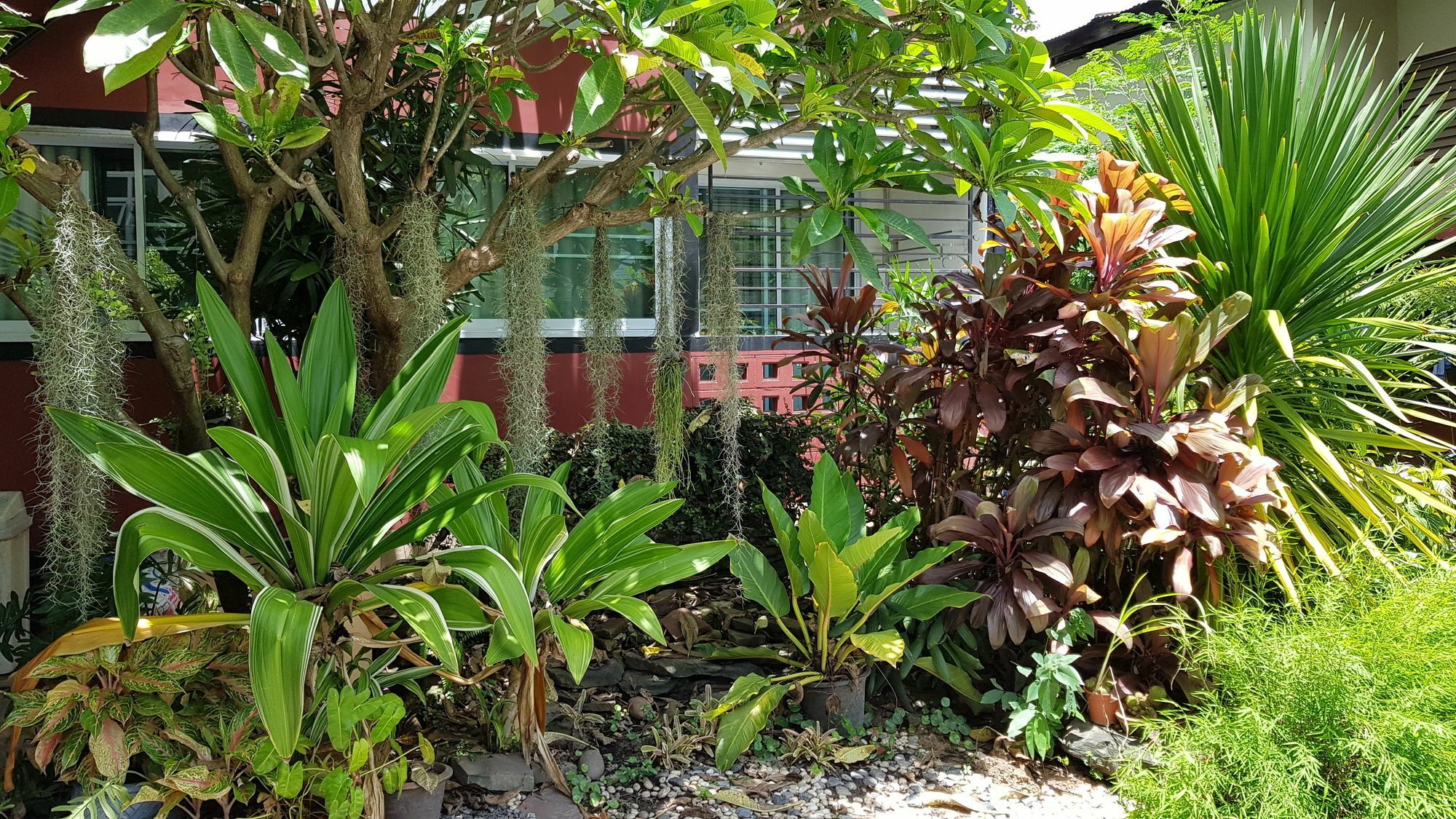Pakdee House Hotel Udon Thani Eksteriør billede